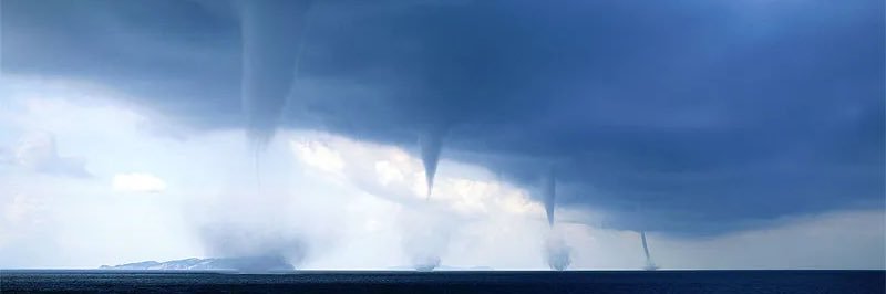 Marsupial_Jake banner