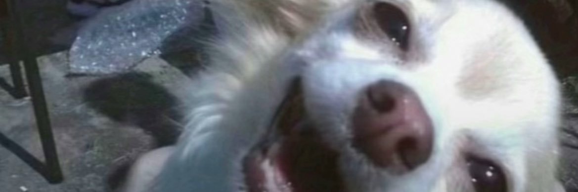 youkwhoitissbaby banner