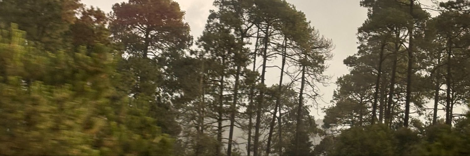 maybequeridalin's profile banner image