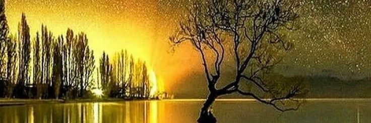 Phiber🇺🇦 banner