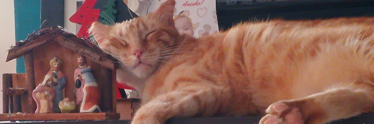 ✨️comissões abertas✨️(n sei mais) banner