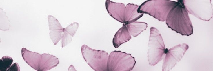 mira banner