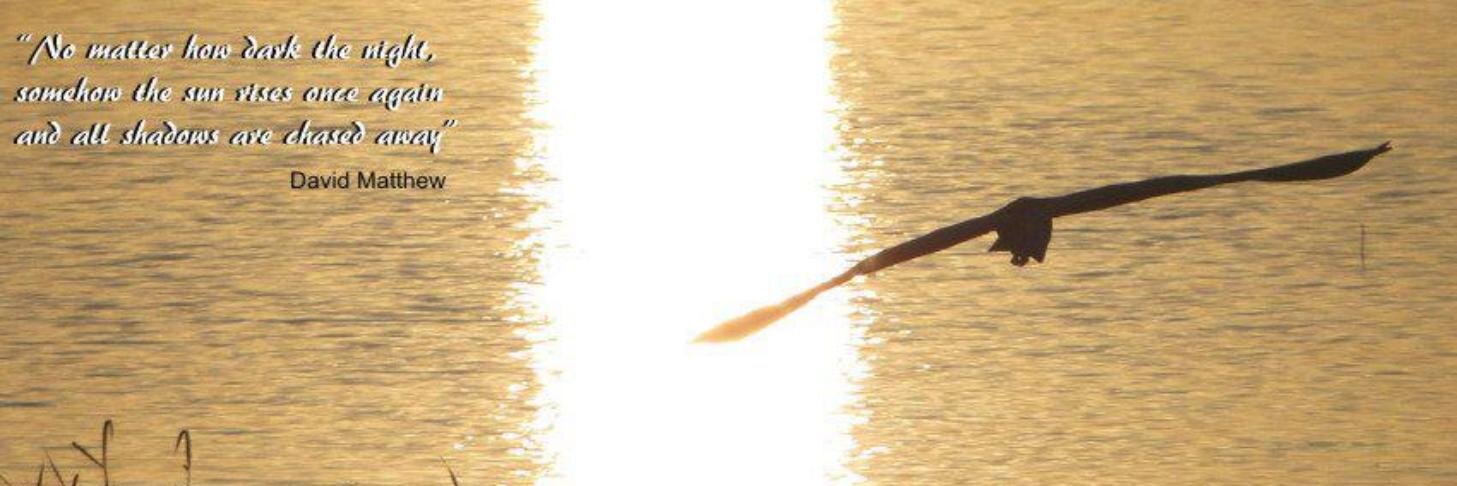 olson1967's profile banner image