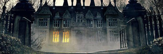 Amelia & Company banner