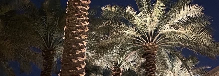 tooi_v's profile banner image