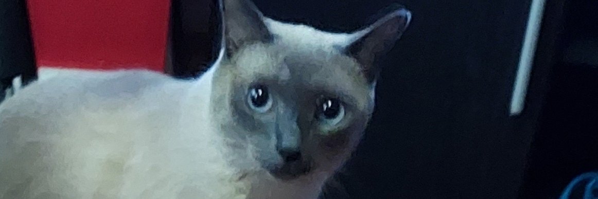 Silver187g's profile banner image