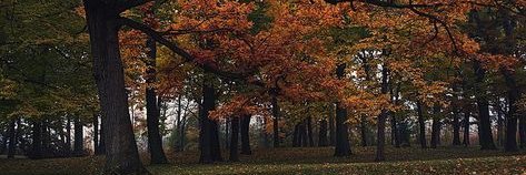 Hailey_Abington's profile banner image