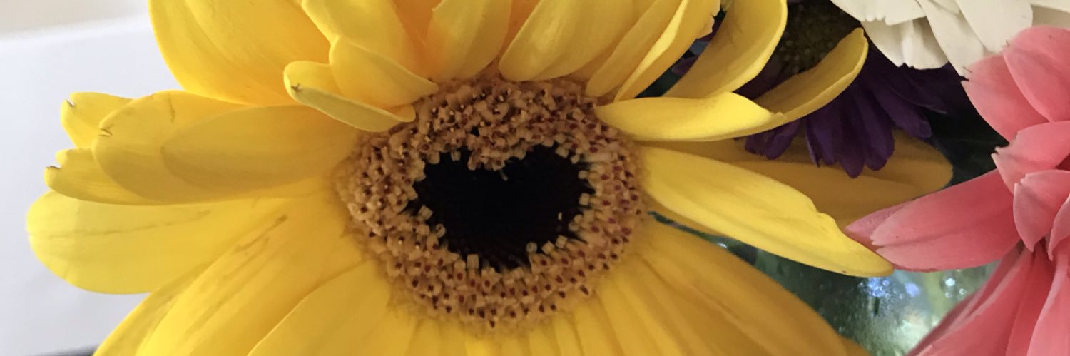 NicolaRead's profile banner image