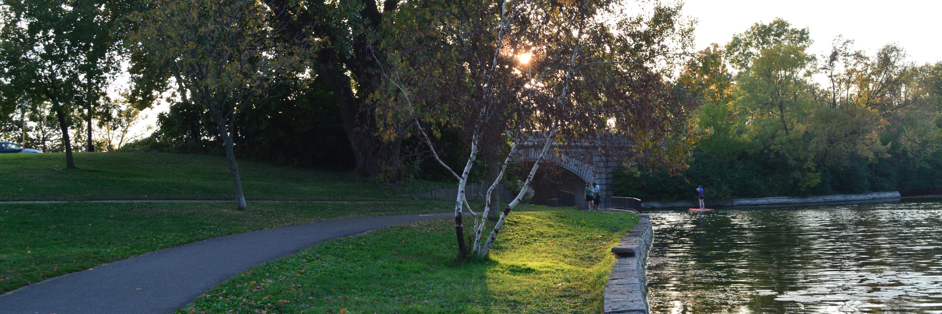 swastvedt's profile banner image