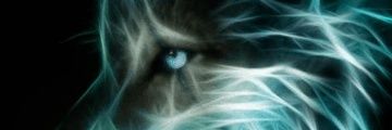 WizzyPablo13582's profile banner image