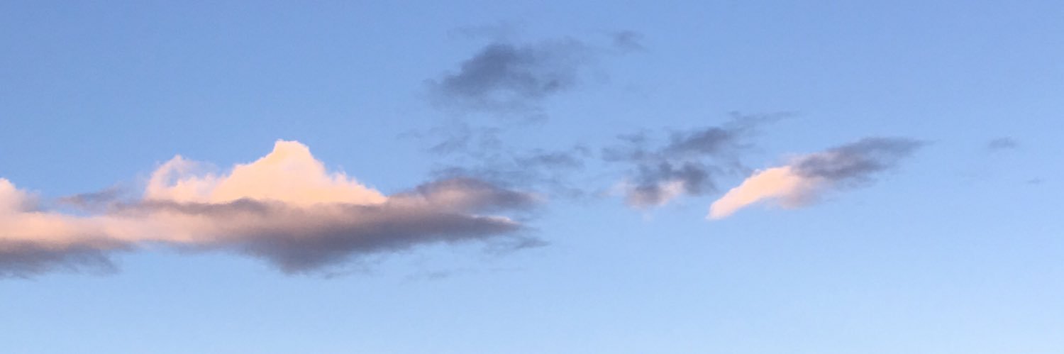 MariaInesVCh's profile banner image