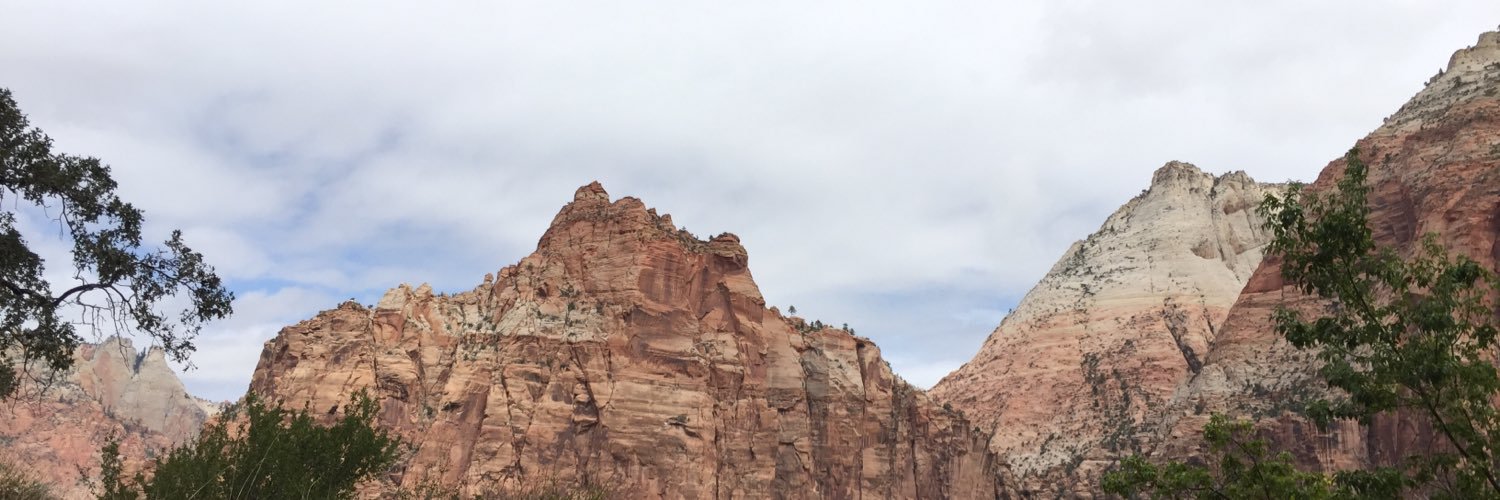 annetteshade's profile banner image