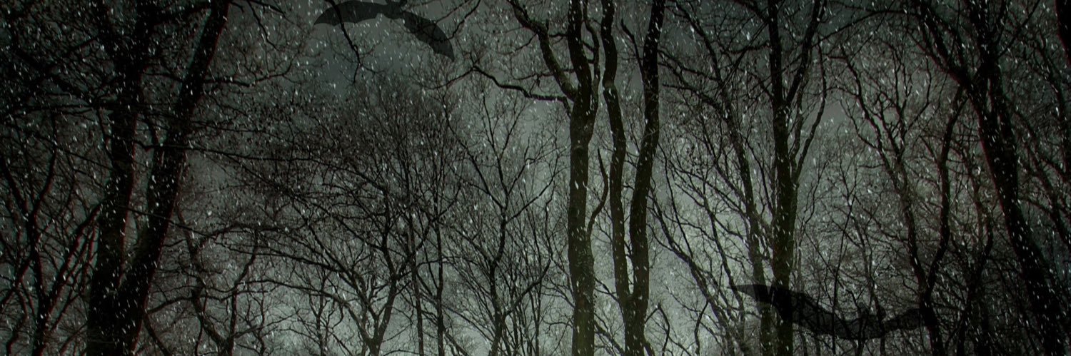 ___KSC___'s profile banner image