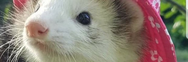 Ben_rm_'s profile banner image