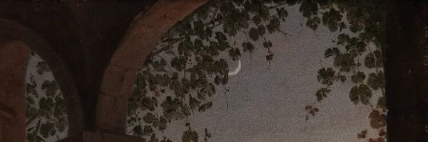 STARL0VED Profile Banner