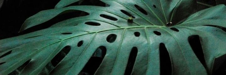 brrenso's profile banner image