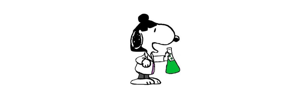 todo dia esnupi como um personagem de ordem banner
