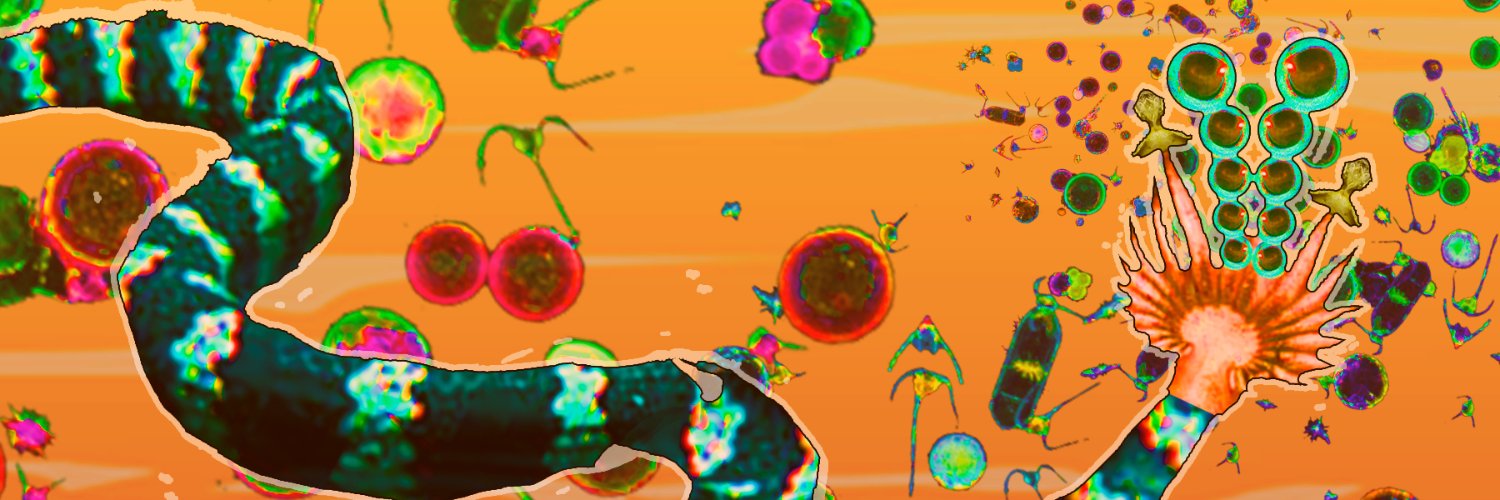 lvneeerd's profile banner image