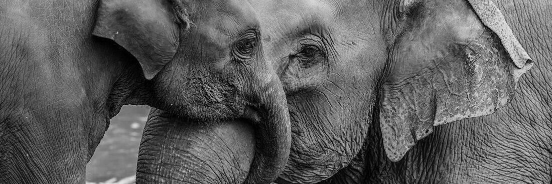 sarickkky's profile banner image