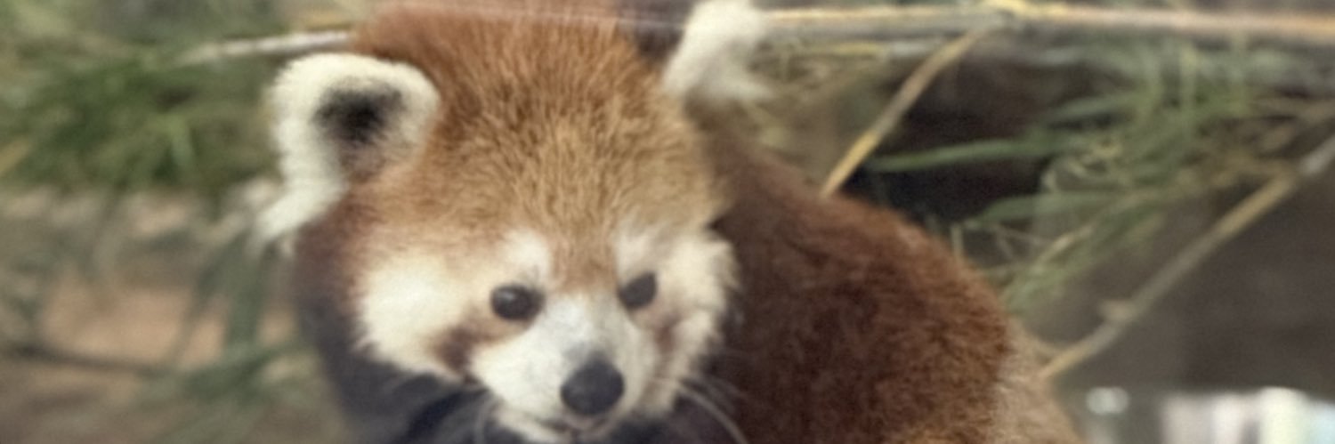 CandyApple🍎 banner