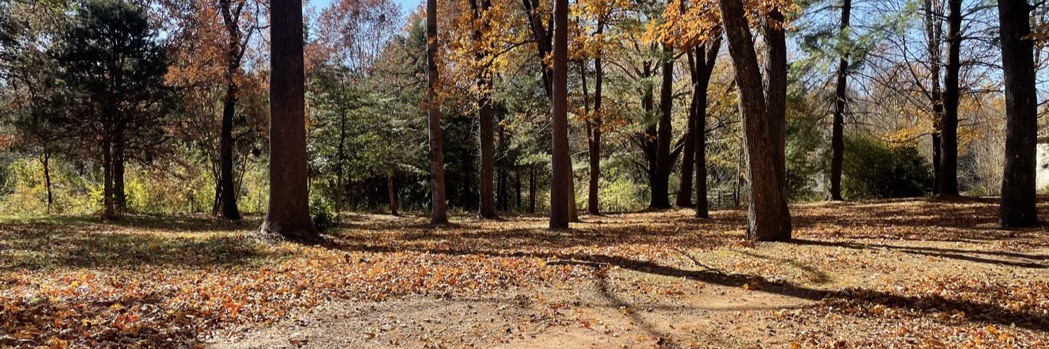 Steven Michael banner