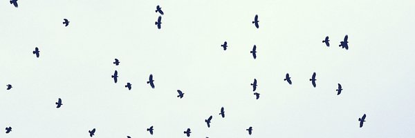 Crafty_Crow Profile Banner