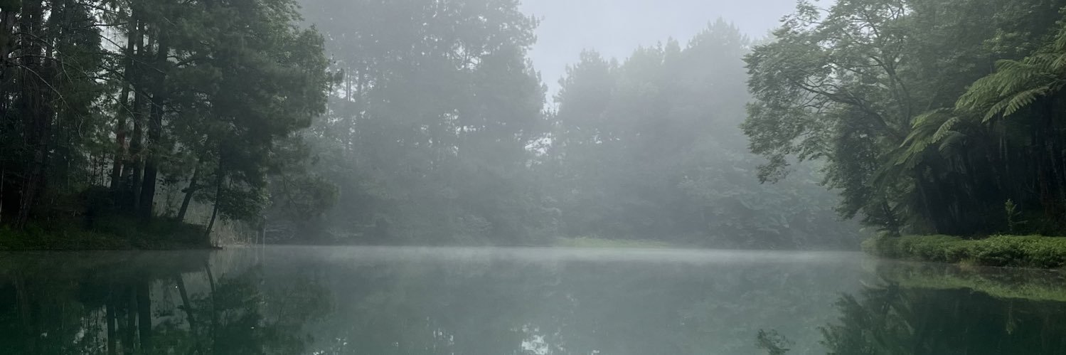 AnaFranc0's profile banner image