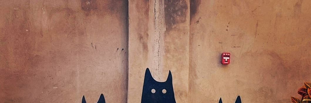 aejofrev's profile banner image