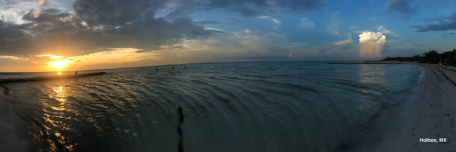 William Currie banner