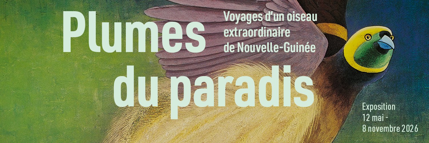 quaibranly's profile banner image