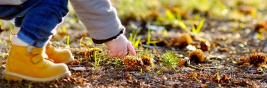 Katherine Porter banner