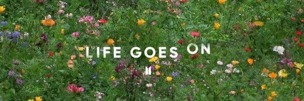 _zb_0 Profile Banner