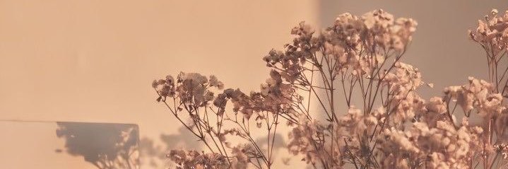 kennedyscouttt's profile banner image