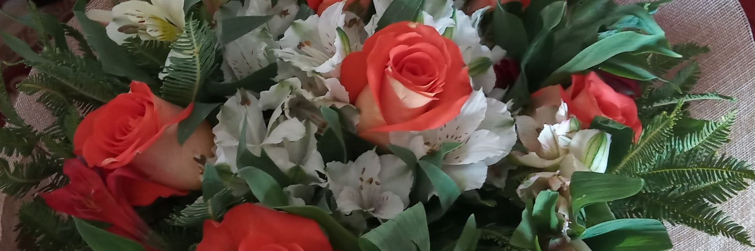 jackopsr's profile banner image