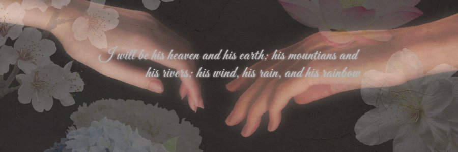 ‧₊˚ 🪷 . 𓂃 banner