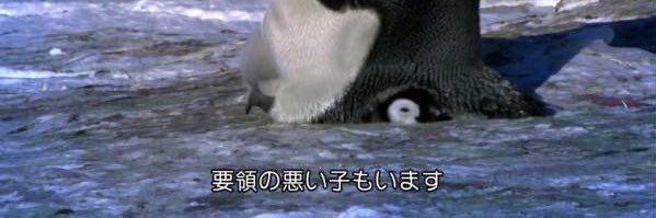 ナナサ banner