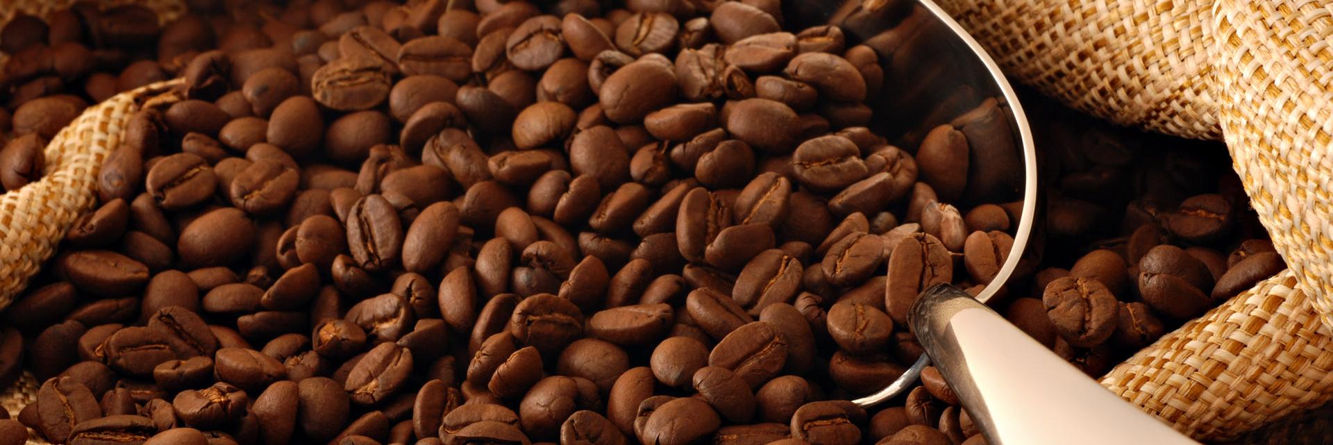 chicorycafe1's profile banner image