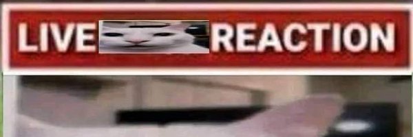 Rujumuju Profile Banner