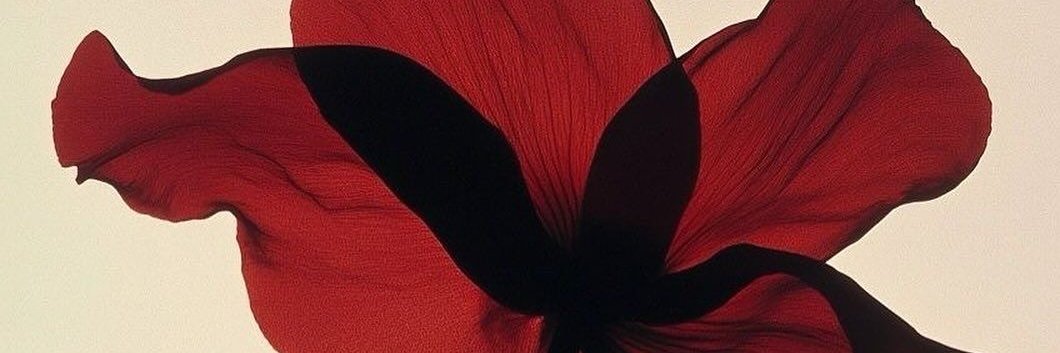 ttssyg's profile banner image
