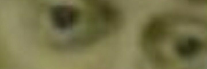 GazMoutarde_'s profile banner image