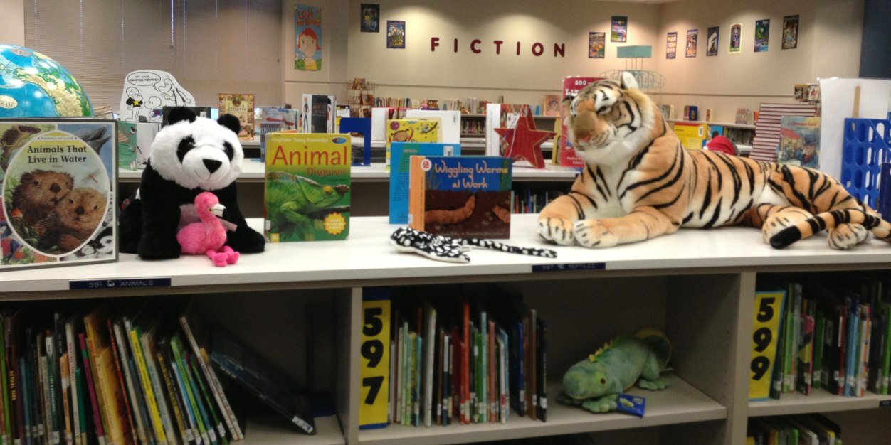 TigersinLibrary's profile banner image