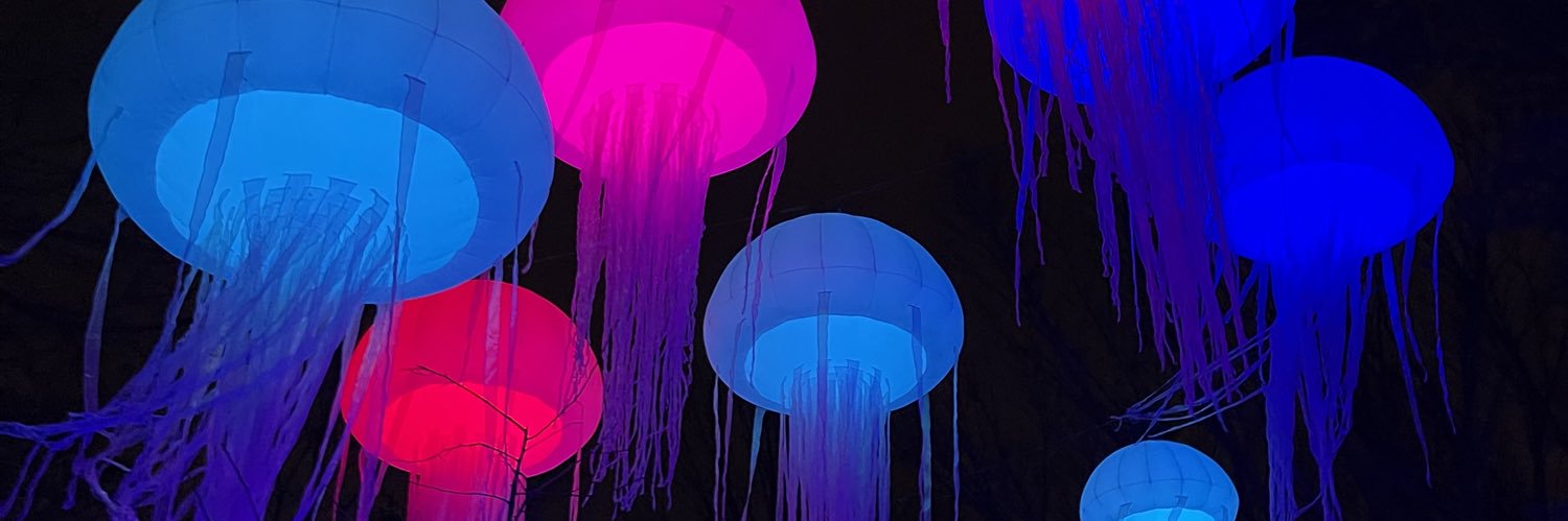 sydwalsh6's profile banner image