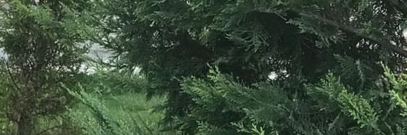 ezgiiss's profile banner image