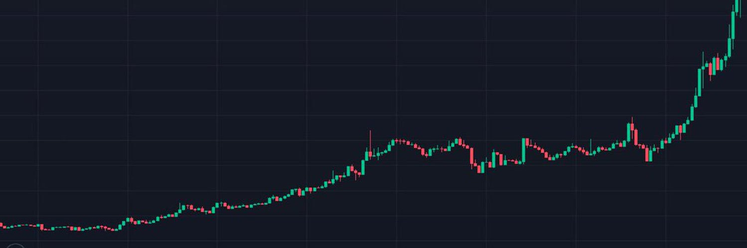 Cryptex Cartel banner