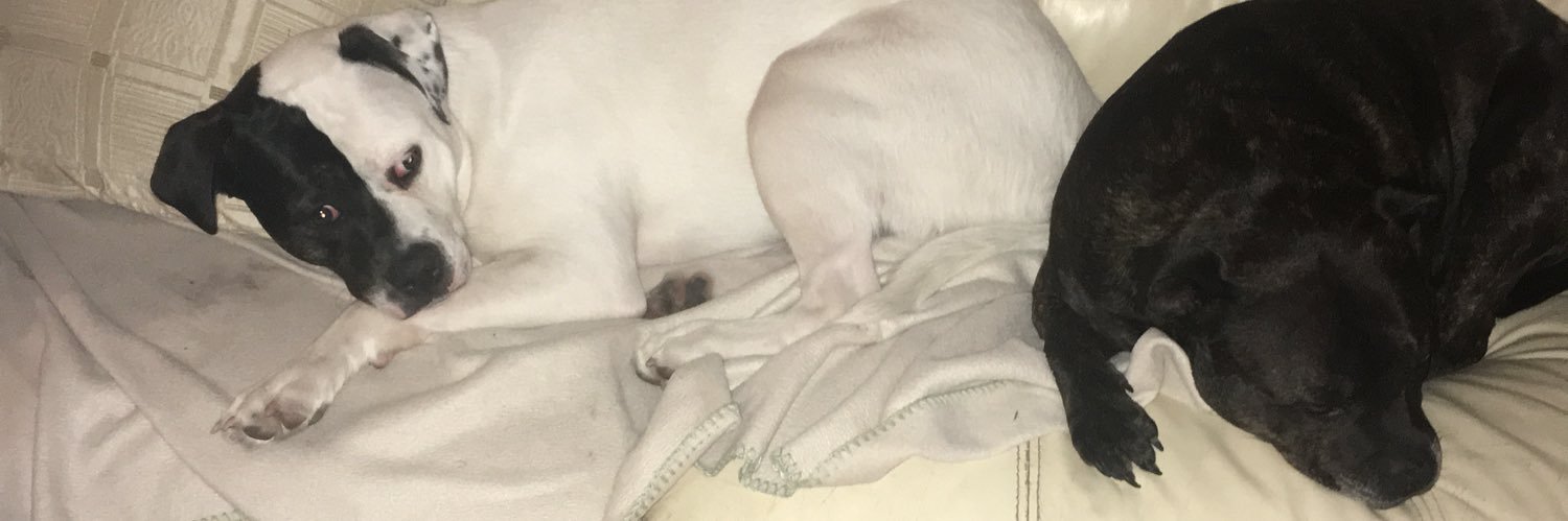 elaine end bsl sarg banner