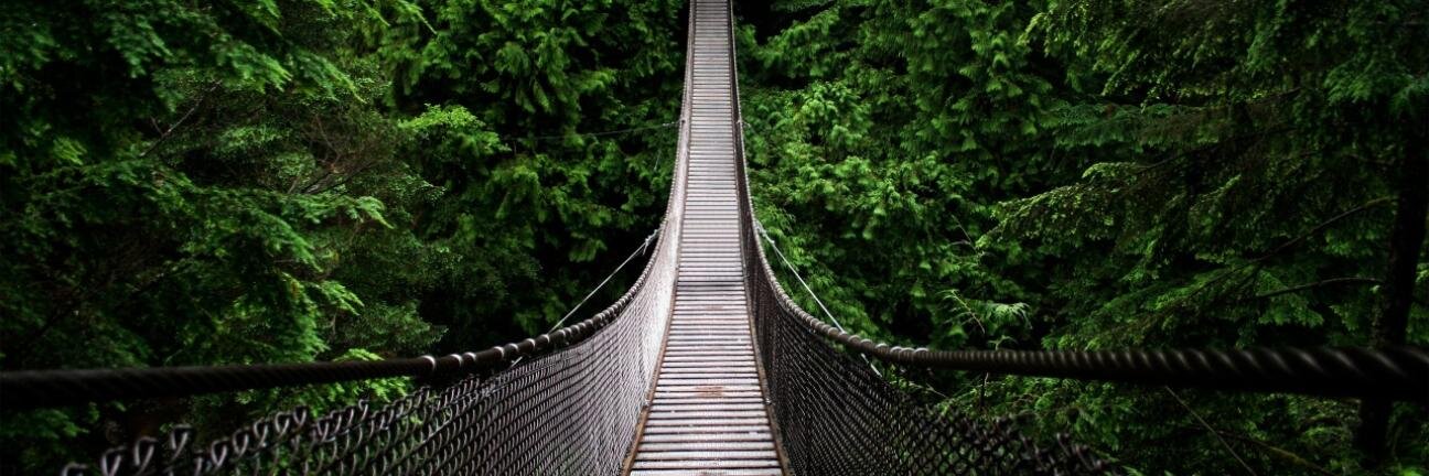 Francesca Carpenter banner