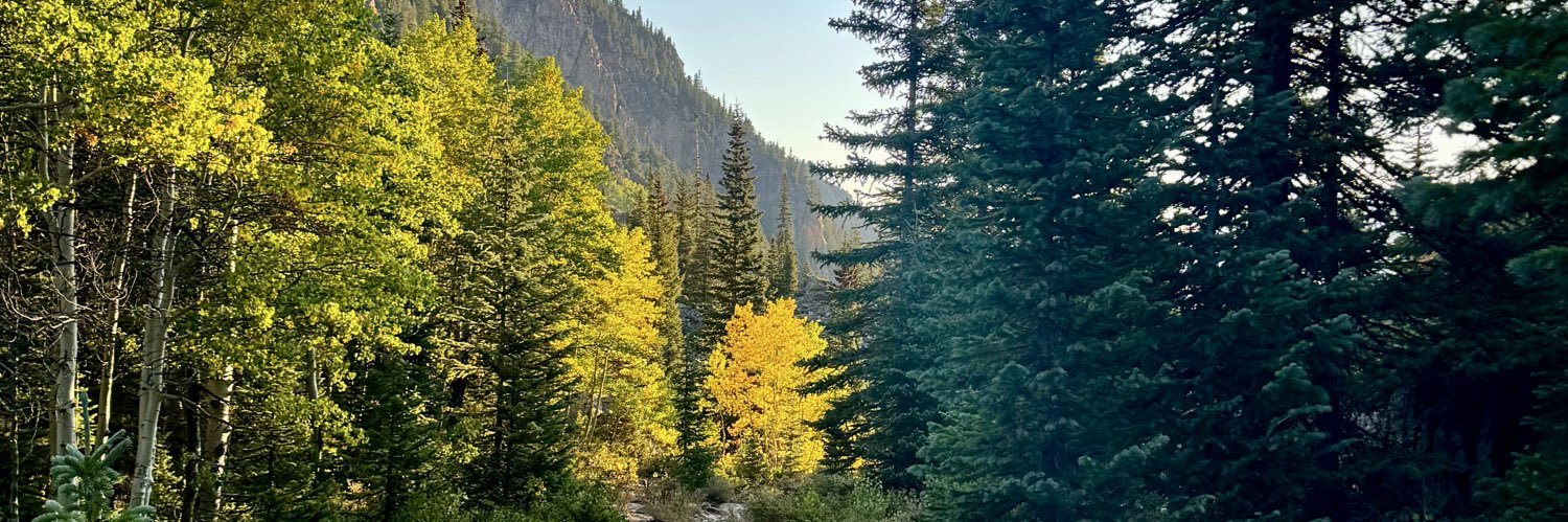 Awhomer's profile banner image