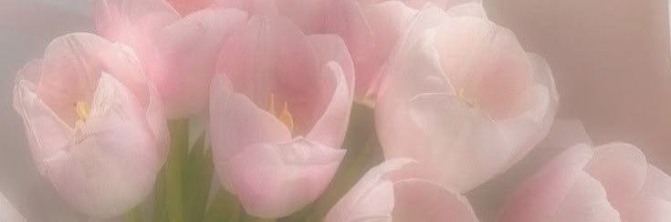 Sol 🌷's banner