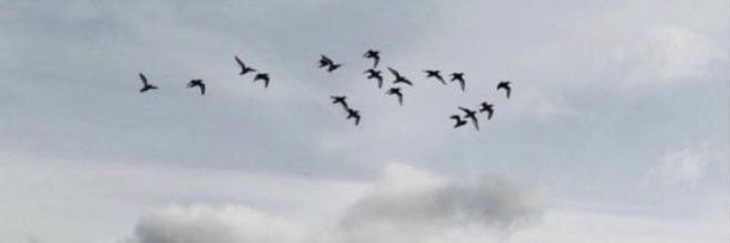 aeri kena LIMIT banner