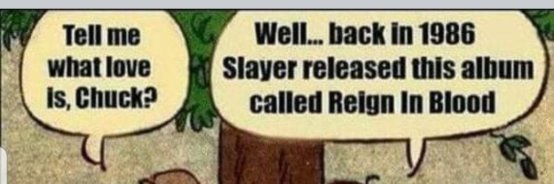 mrpogge's profile banner image